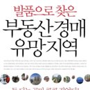 도림1동 | [책 후기] 발품으로 찾은 부동산 경매 유망지역-문현웅