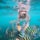 비클릭 | 코타키나발루 만따나니섬 솔직 후기 (비오는 날 다녀온 판매자 후기_눈물 주의)