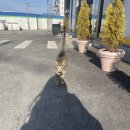 원주103주유소 이미지