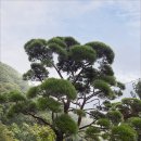 양평가든 이미지