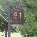 골드리버cc 이미지