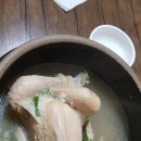 큰바골삼계탕 티스토리