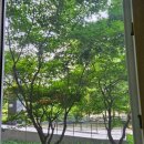 뜨레휴 이곡마을7단지 | (평택 방충망) 뜨레휴 이곡마을7단지 발수코팅 미세 방충망 + 모헤어 교체 시공