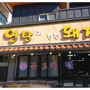 연탄과친한돼지 이미지