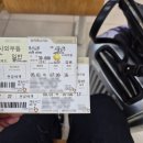 감남곡 | 귀여움을 찾아 떠난 서울나들이