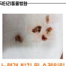 닥터리동물병원 이미지