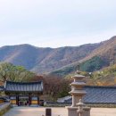 표충사 가을(밀양,사찰여행,단풍명소 ) 이미지