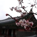 디자인사람들 이미지