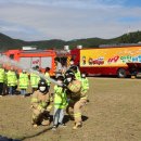 구산구서분교 이미지