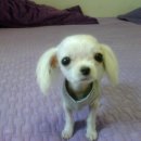 단비세탁소 이미지