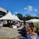 와흘메밀마을 이미지