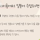 차이홍 이미지