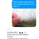사오정식품 | 속터지는 쿠팡 반품 교환 채팅상담 아침부터 뚜껑열림