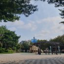 지인이 사온 아이템 먹방
