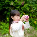 더블트리