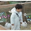 승재농장 네이버블로그
