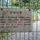 수복캠핑장 이미지