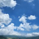 6월의 목장 이미지