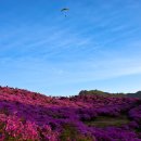 평화동017 이미지