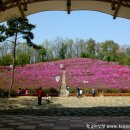 군포-산본-2007 이미지