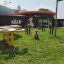 문경새재반려동물힐링센터(젠틀펫파라다이스) 이미지