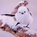 도서관옥상3 이미지