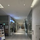 대영사진관 | 📍수원 증명사진 잘 찍는 곳 | 풀디스튜디오 재방문 후기✨