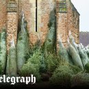 so tree farm 이미지