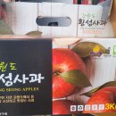 그린사과