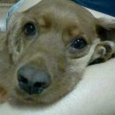 공주휴게소 이미지