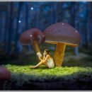 한빛외과의원 이미지