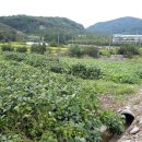 남강공인중개사사무소 이미지