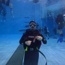 중원 꿈톡톡 | 스쿠버다이빙 오픈워터 자격증 취득하기 (feat. 제주 해양실습)