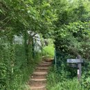 염곡안길 7 이미지