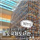 대신동주민센터 3층 화장실 | 송도국제도서관 주차 도서대출 운영시간 열람실 공부 후기