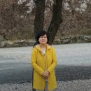 (주)신영프린팅 Daum카페