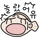 구파발사진관 네이버블로그