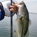 다솔 스테이 이미지