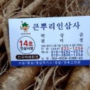 큰뿌리인삼사