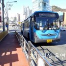 영신버스 이미지