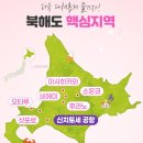 꽃길플라워 - 고양시 일산서구 킨텍스로 255 | 꽃길플라워