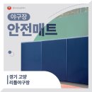 고양리틀야구장 이미지