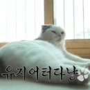 산다한의원 이미지