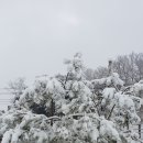 금옥농장 이미지