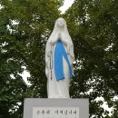 양월4리 이미지