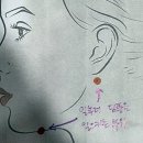 봄눈피우다의원 이미지