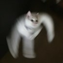 에디션덴마크쇼룸
