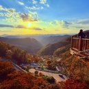 노을빛 | 보은 말티재 전망대 단풍 드라이브! 노을빛 꼬부랑길 카페 대추차 후기