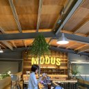 (주)모다스 네이버블로그