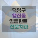연세수치과의원 | 고양시 덕양구 행신동 치과 임플란트 수술 가격 종류 기간 수술 보험 후기 총정리 33곳